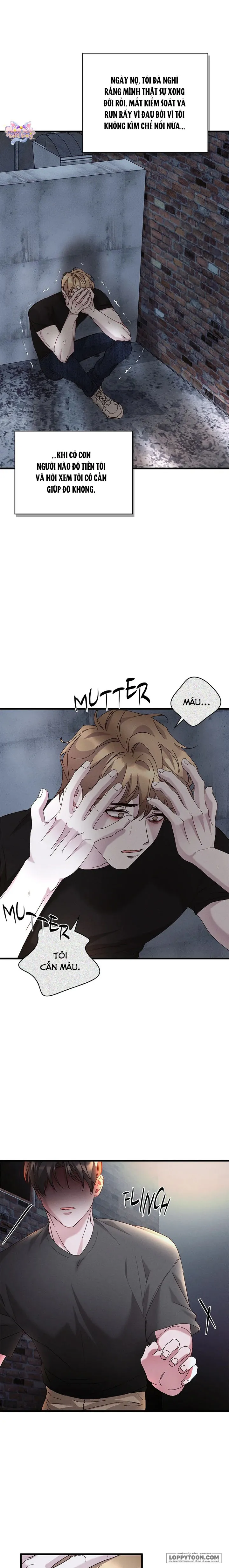 Nụ Hôn Máu - Chap 53 - Trang 7