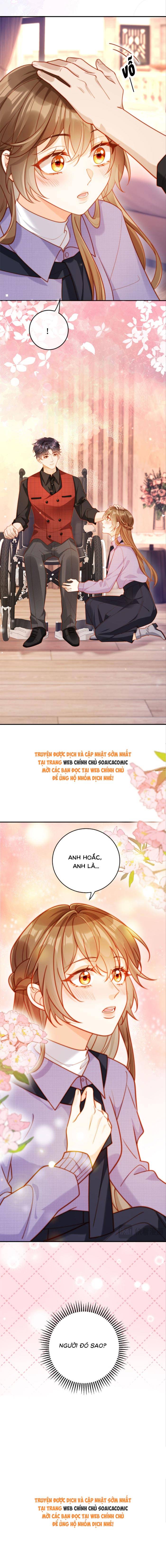 Nụ Hôn Xung Hỉ: Đại Lão Thực Vật Sống Lại Rồi! - Chap 12 - Trang 12