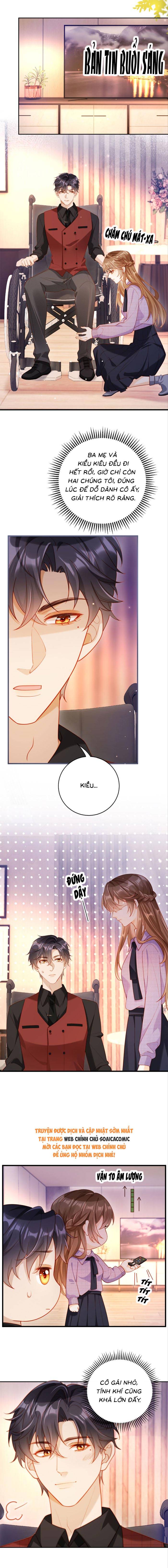 Nụ Hôn Xung Hỉ: Đại Lão Thực Vật Sống Lại Rồi! - Chap 12 - Trang 5