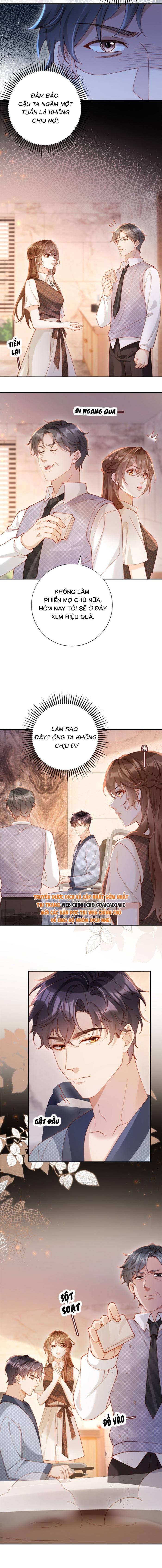 Nụ Hôn Xung Hỉ: Đại Lão Thực Vật Sống Lại Rồi! - Chap 23 - Trang 3