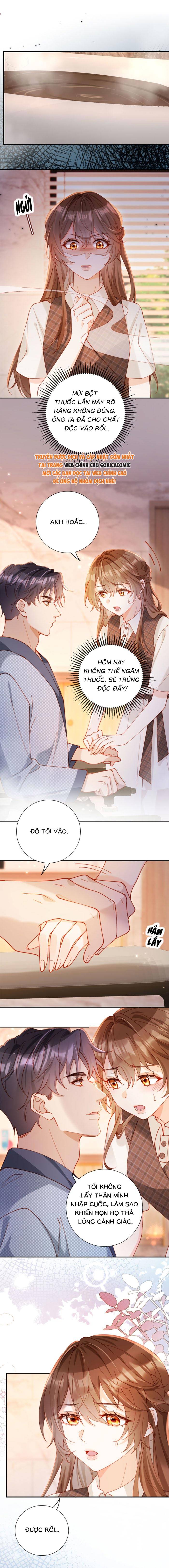 Nụ Hôn Xung Hỉ: Đại Lão Thực Vật Sống Lại Rồi! - Chap 23 - Trang 4