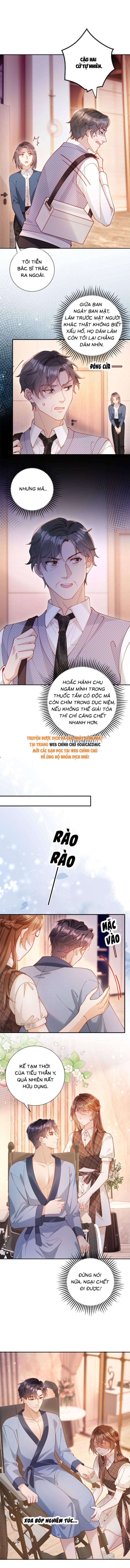 Nụ Hôn Xung Hỉ: Đại Lão Thực Vật Sống Lại Rồi! - Chap 23 - Trang 8