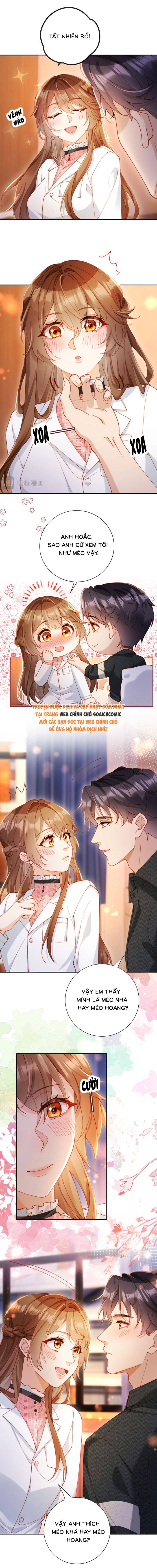 Nụ Hôn Xung Hỉ: Đại Lão Thực Vật Sống Lại Rồi! - Chap 29 - Trang 6