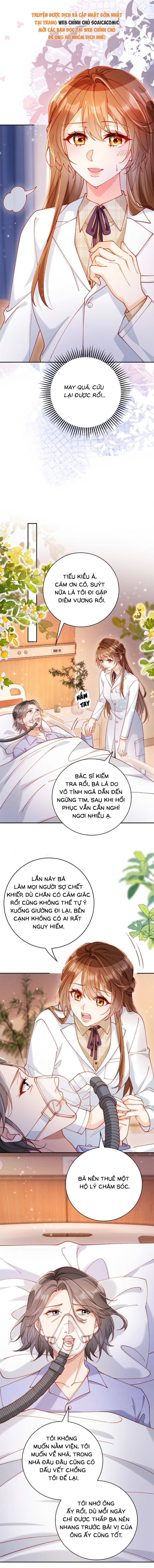 Nụ Hôn Xung Hỉ: Đại Lão Thực Vật Sống Lại Rồi! - Chap 39 - Trang 11