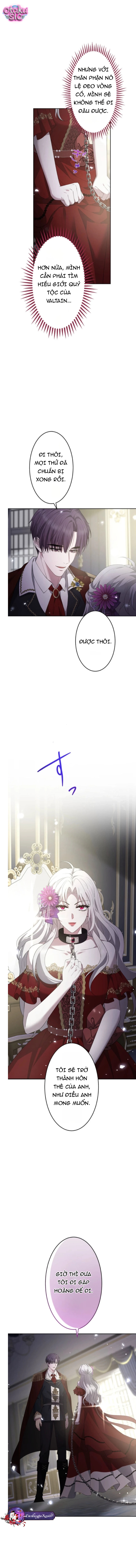 Nữ Phản Diện Bị Kỵ Sĩ Trung Thành Bắt Giữ - Chap 3 - Trang 11