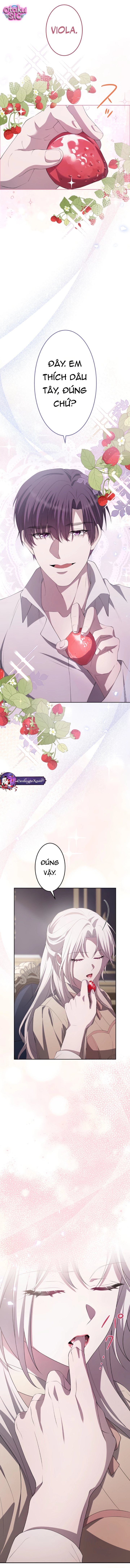 Nữ Phản Diện Bị Kỵ Sĩ Trung Thành Bắt Giữ - Chap 6 - Trang 8