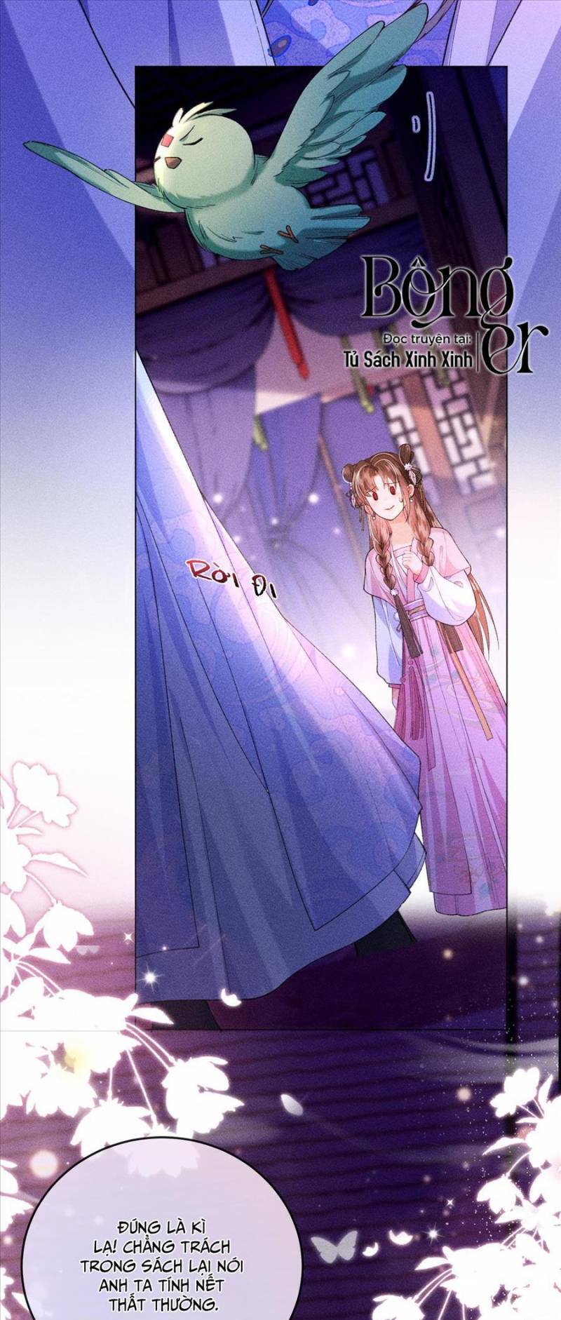 Nữ Phụ Không Muốn Nam Nữ Chính Chia Tay - Chap 17 - Trang 6