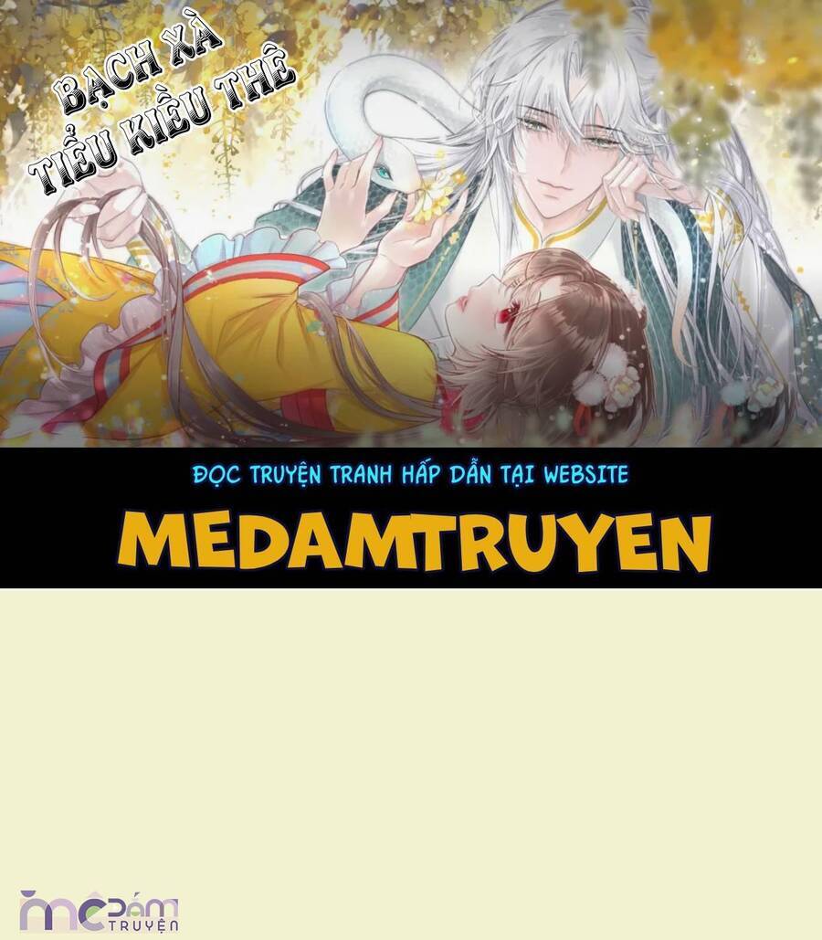 Nữ Phụ Không Muốn Nam Nữ Chính Chia Tay - Chap 19 - Trang 3