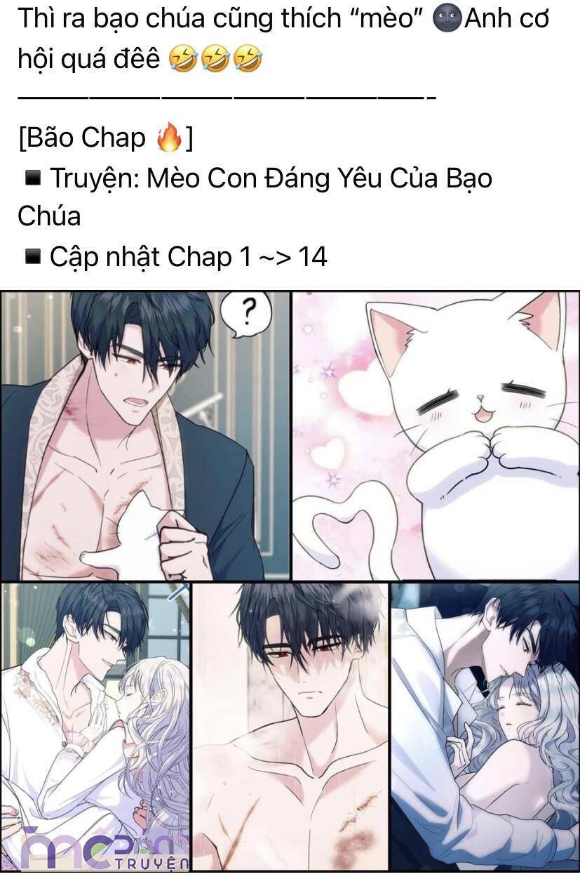 Nữ Phụ Không Muốn Nam Nữ Chính Chia Tay - Chap 28 - Trang 6