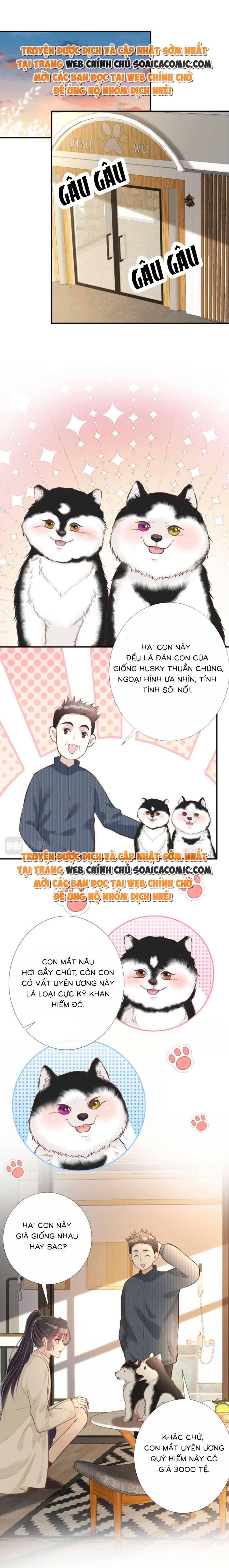 Ôm Khẩn Tiểu Mã Giáp Của Tôi - Chap 155 - Trang 5