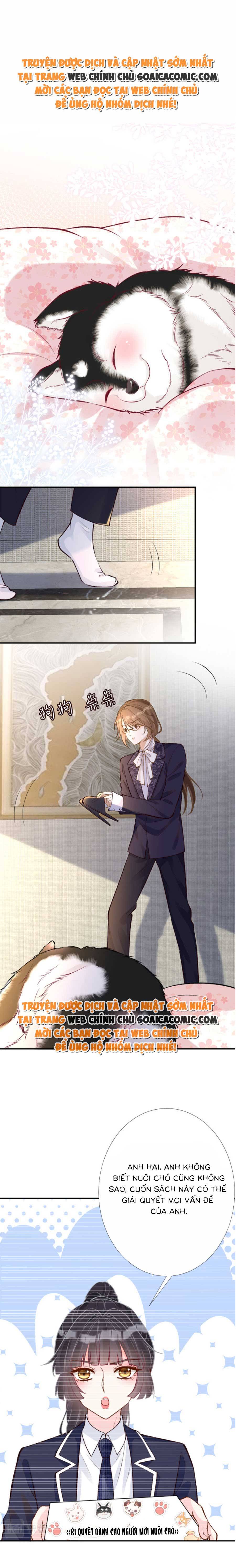 Ôm Khẩn Tiểu Mã Giáp Của Tôi - Chap 156 - Trang 1