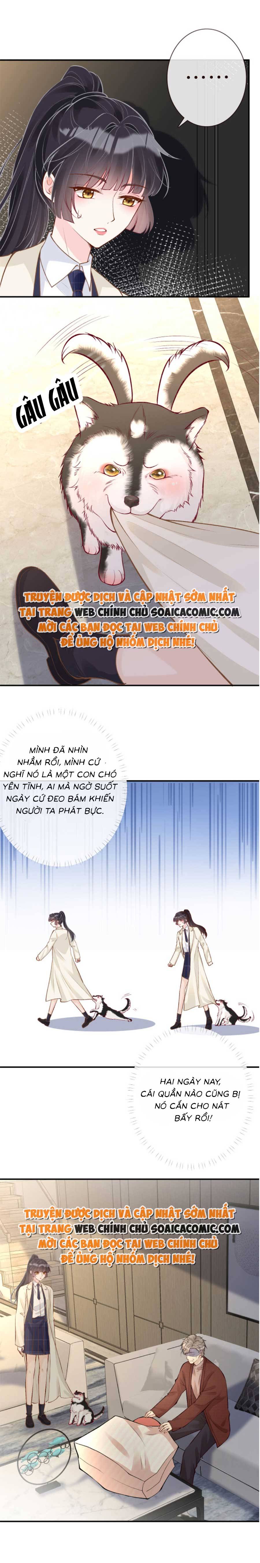 Ôm Khẩn Tiểu Mã Giáp Của Tôi - Chap 156 - Trang 3
