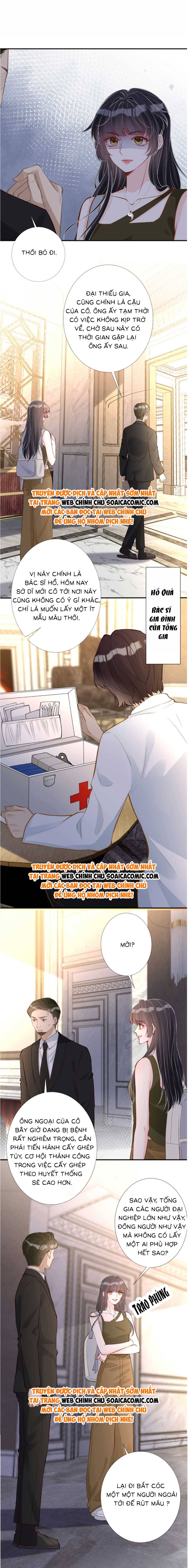 Ôm Khẩn Tiểu Mã Giáp Của Tôi - Chap 195 - Trang 8