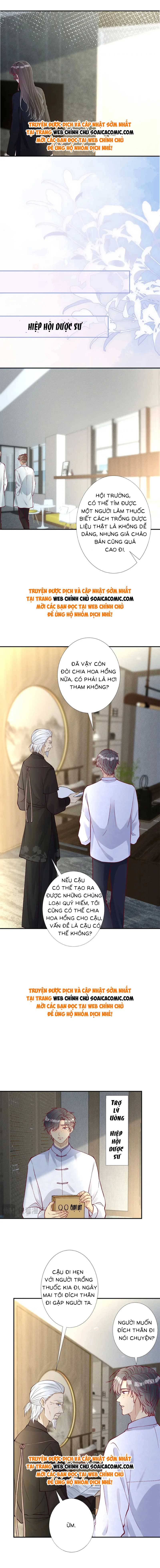 Ôm Khẩn Tiểu Mã Giáp Của Tôi - Chap 228 - Trang 8