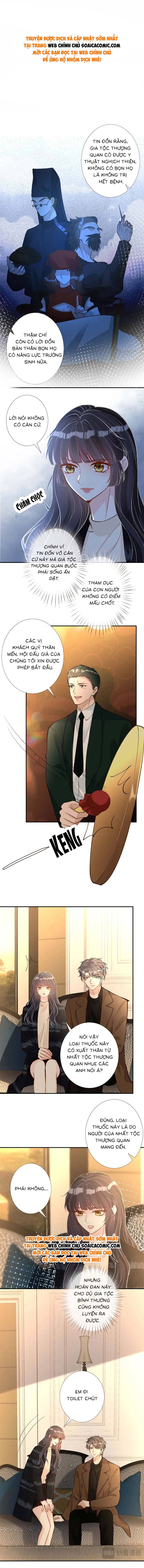 Ôm Khẩn Tiểu Mã Giáp Của Tôi - Chap 250 - Trang 1