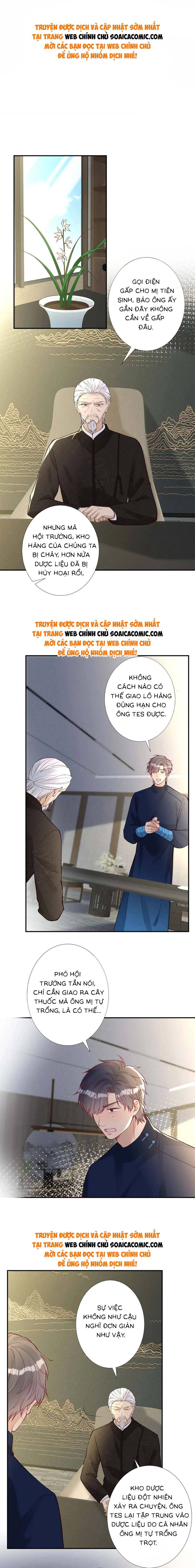 Ôm Khẩn Tiểu Mã Giáp Của Tôi - Chap 251 - Trang 1