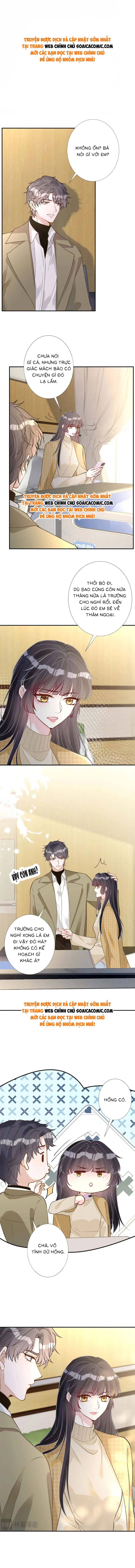 Ôm Khẩn Tiểu Mã Giáp Của Tôi - Chap 255 - Trang 1
