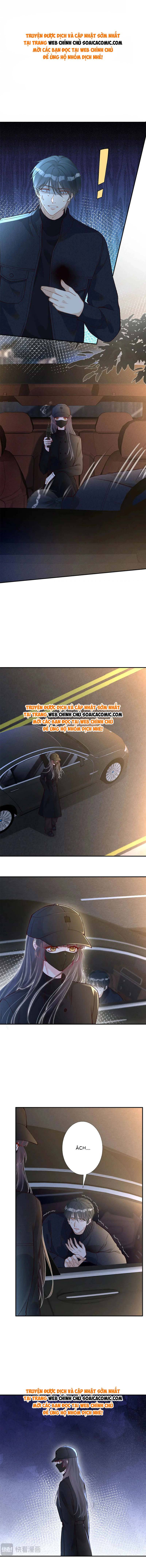 Ôm Khẩn Tiểu Mã Giáp Của Tôi - Chap 256 - Trang 1