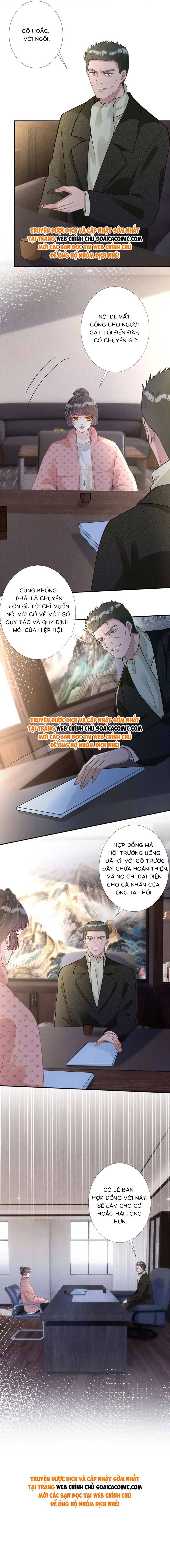 Ôm Khẩn Tiểu Mã Giáp Của Tôi - Chap 259 - Trang 8