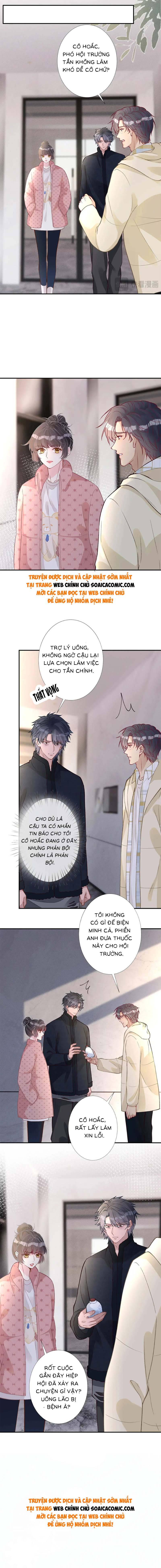 Ôm Khẩn Tiểu Mã Giáp Của Tôi - Chap 260 - Trang 8