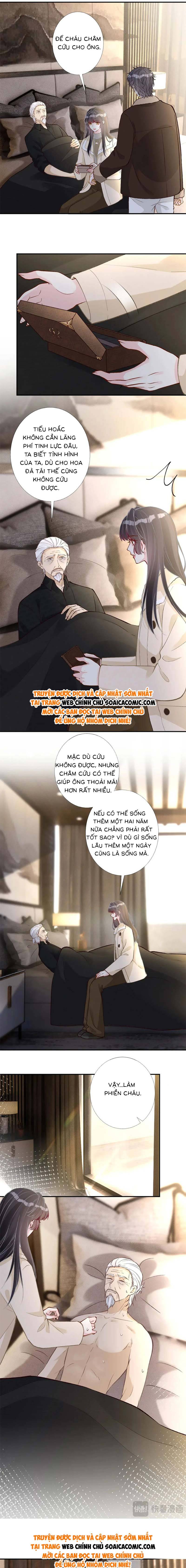 Ôm Khẩn Tiểu Mã Giáp Của Tôi - Chap 262 - Trang 6