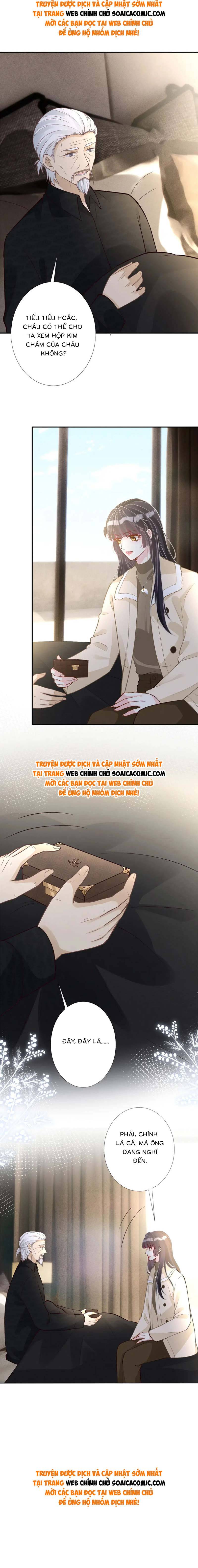 Ôm Khẩn Tiểu Mã Giáp Của Tôi - Chap 262 - Trang 8