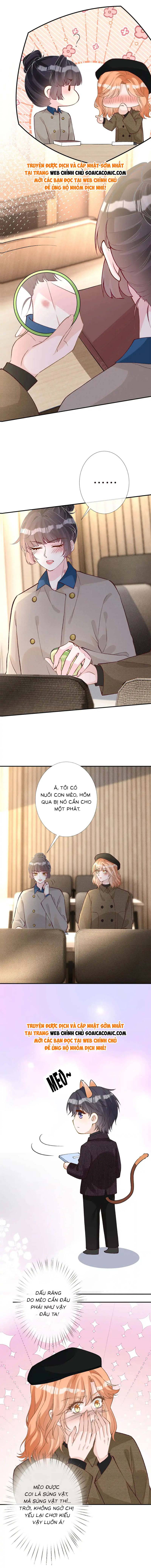 Ôm Khẩn Tiểu Mã Giáp Của Tôi - Chap 267 - Trang 4