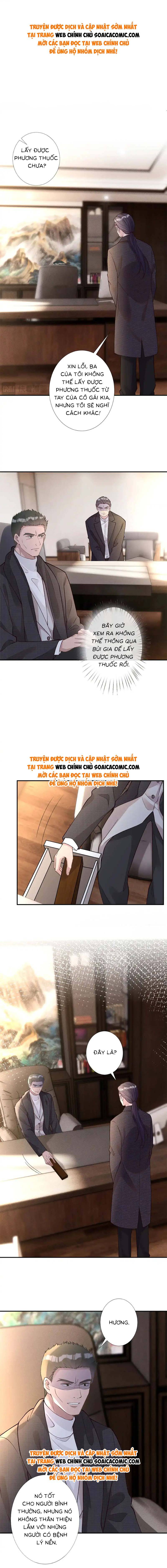 Ôm Khẩn Tiểu Mã Giáp Của Tôi - Chap 268 - Trang 1