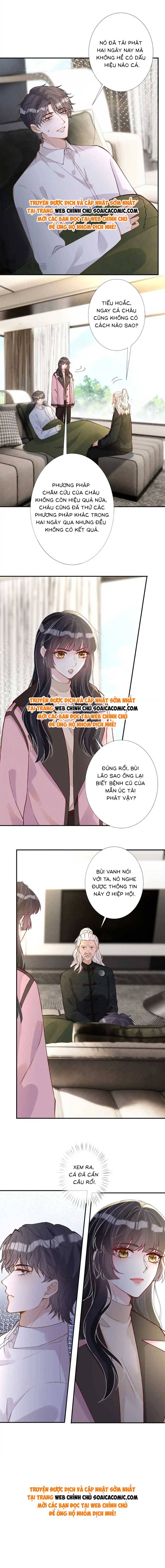 Ôm Khẩn Tiểu Mã Giáp Của Tôi - Chap 270 - Trang 7
