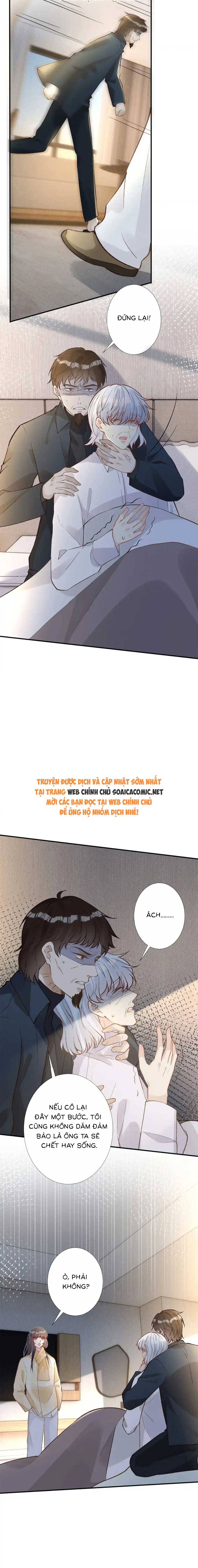 Ôm Khẩn Tiểu Mã Giáp Của Tôi - Chap 282 - Trang 2