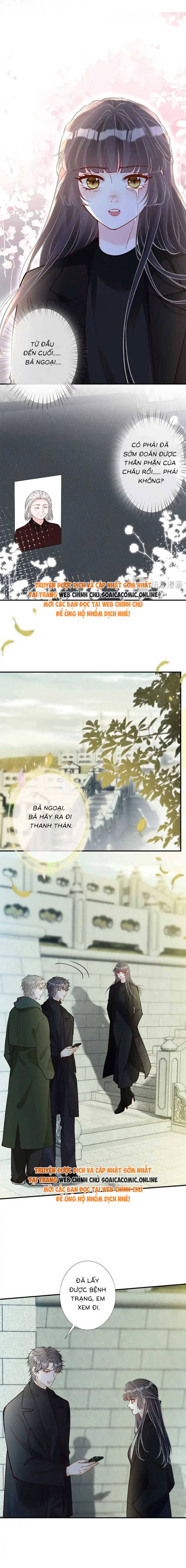 Ôm Khẩn Tiểu Mã Giáp Của Tôi - Chap 284 - Trang 3