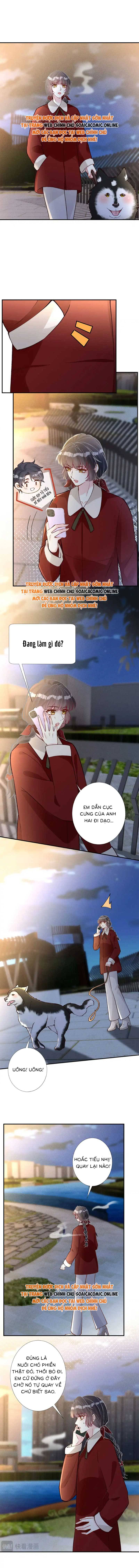 Ôm Khẩn Tiểu Mã Giáp Của Tôi - Chap 287 - Trang 5