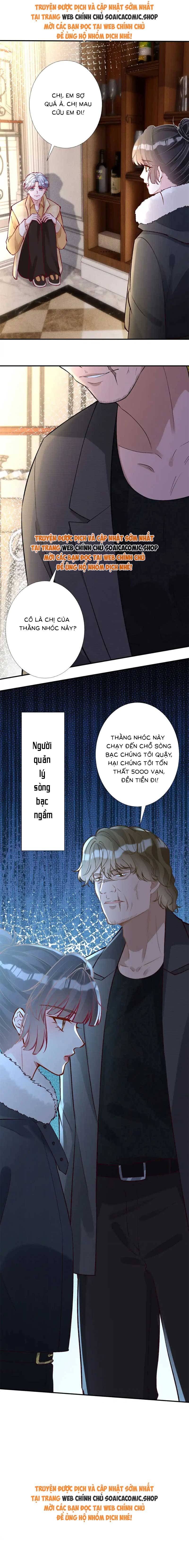 Ôm Khẩn Tiểu Mã Giáp Của Tôi - Chap 295 - Trang 8