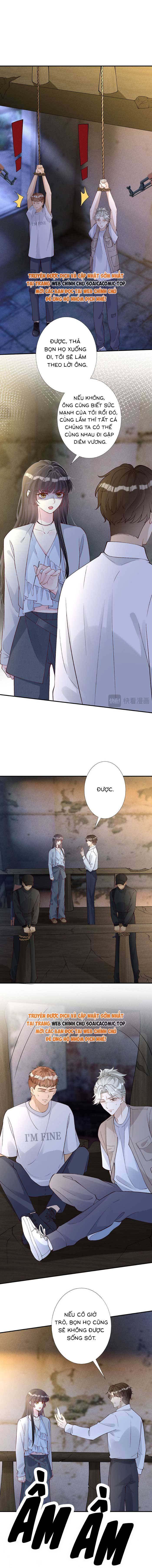 Ôm Khẩn Tiểu Mã Giáp Của Tôi - Chap 319 - Trang 5