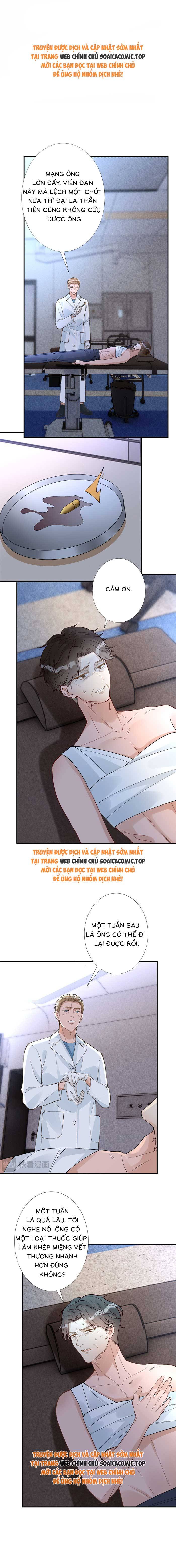 Ôm Khẩn Tiểu Mã Giáp Của Tôi - Chap 321 - Trang 1