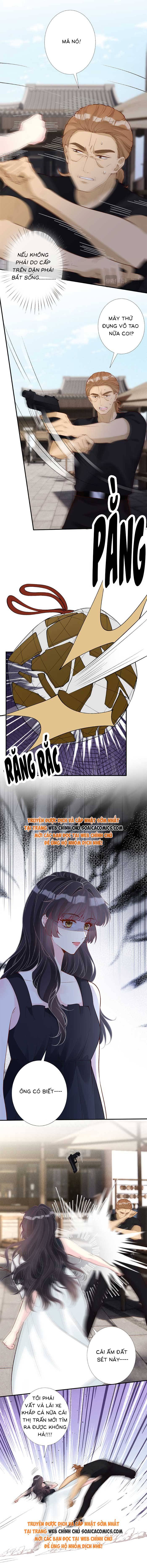 Ôm Khẩn Tiểu Mã Giáp Của Tôi - Chap 327 - Trang 5
