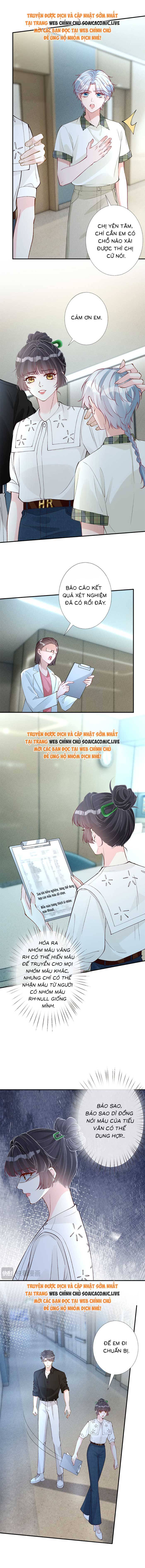 Ôm Khẩn Tiểu Mã Giáp Của Tôi - Chap 330 - Trang 6