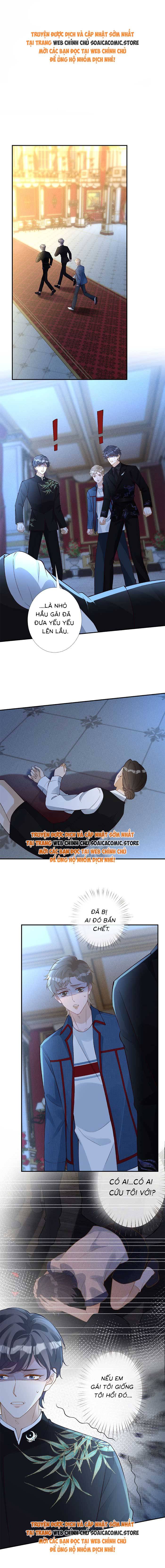 Ôm Khẩn Tiểu Mã Giáp Của Tôi - Chap 338 - Trang 1