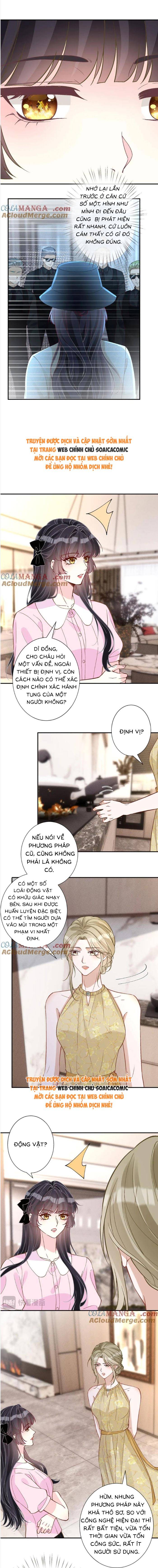 Ôm Khẩn Tiểu Mã Giáp Của Tôi - Chap 368 - Trang 3