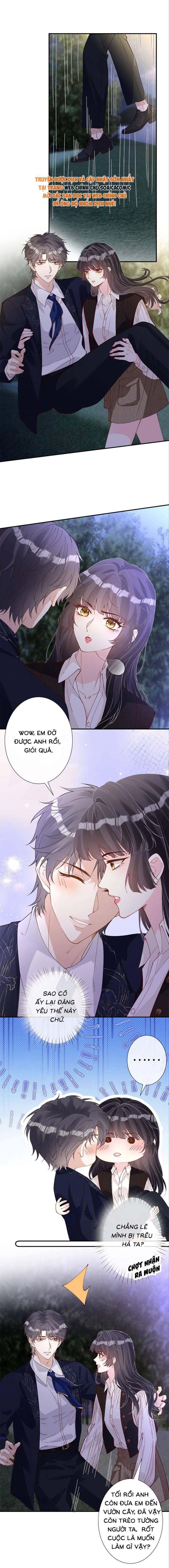 Ôm Khẩn Tiểu Mã Giáp Của Tôi - Chap 398 - Trang 3