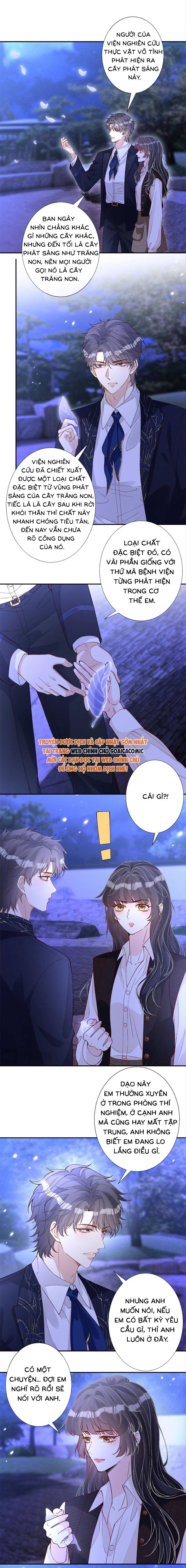 Ôm Khẩn Tiểu Mã Giáp Của Tôi - Chap 398 - Trang 5