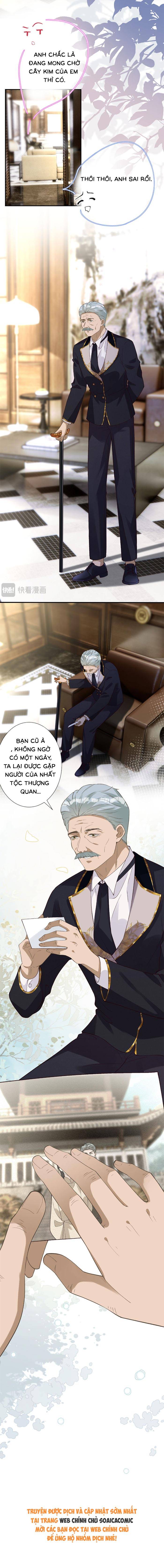 Ôm Khẩn Tiểu Mã Giáp Của Tôi - Chap 404 - Trang 7