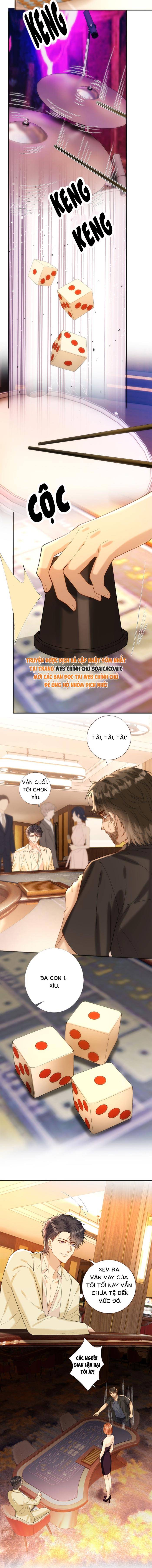Ôm Khẩn Tiểu Mã Giáp Của Tôi - Chap 407 - Trang 6