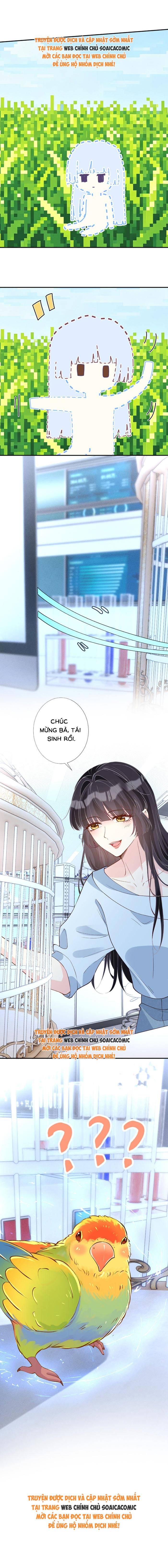Ôm Khẩn Tiểu Mã Giáp Của Tôi - Chap 421 - Trang 7