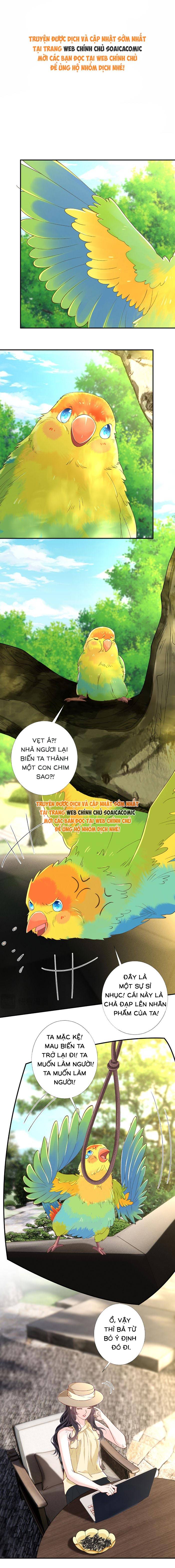 Ôm Khẩn Tiểu Mã Giáp Của Tôi - Chap 422 - Trang 1