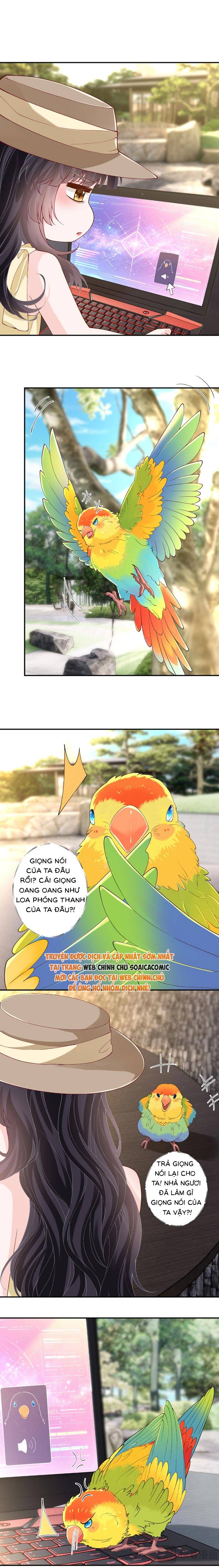 Ôm Khẩn Tiểu Mã Giáp Của Tôi - Chap 422 - Trang 2