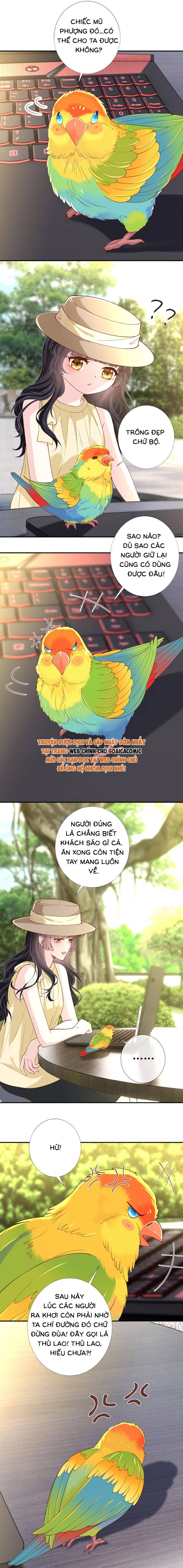 Ôm Khẩn Tiểu Mã Giáp Của Tôi - Chap 422 - Trang 6