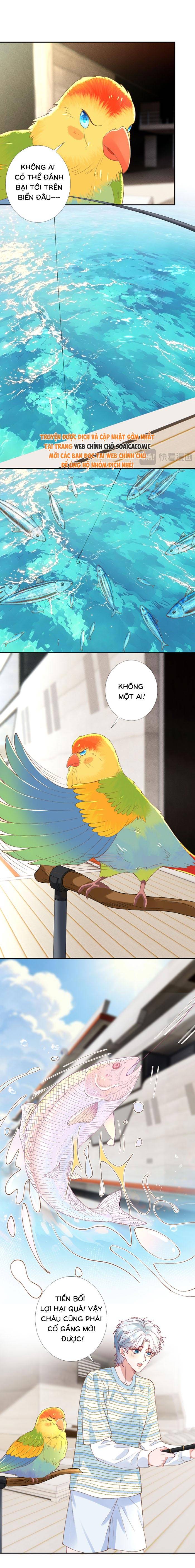 Ôm Khẩn Tiểu Mã Giáp Của Tôi - Chap 424 - Trang 5