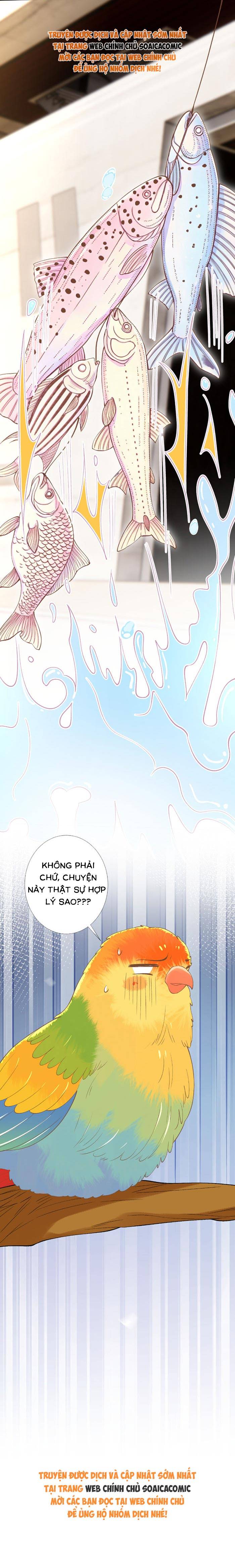 Ôm Khẩn Tiểu Mã Giáp Của Tôi - Chap 424 - Trang 8