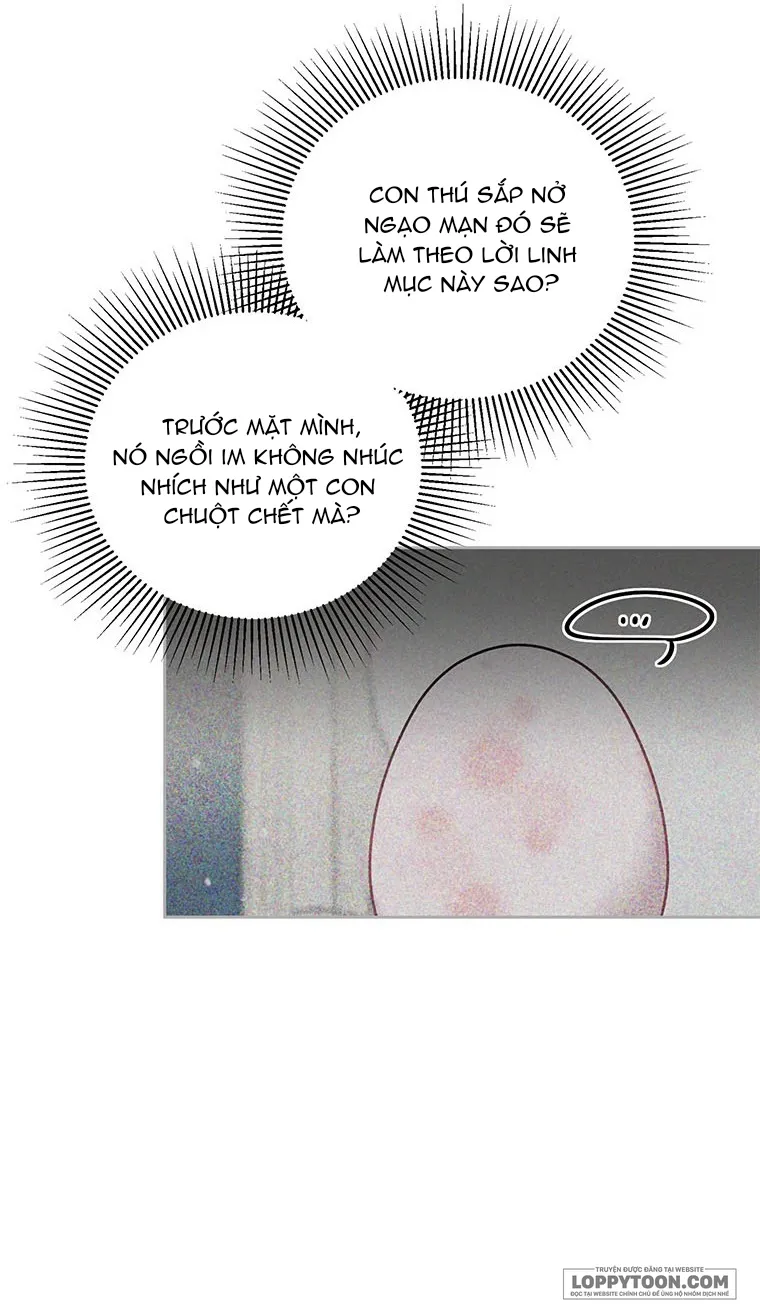 Phía Sau Mặt Nạ Của Nam Chính Hiền Lành - Chap 10 - Trang 4